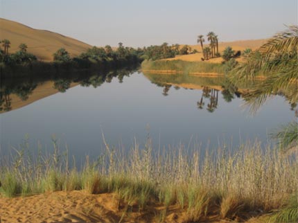 Libia 2010